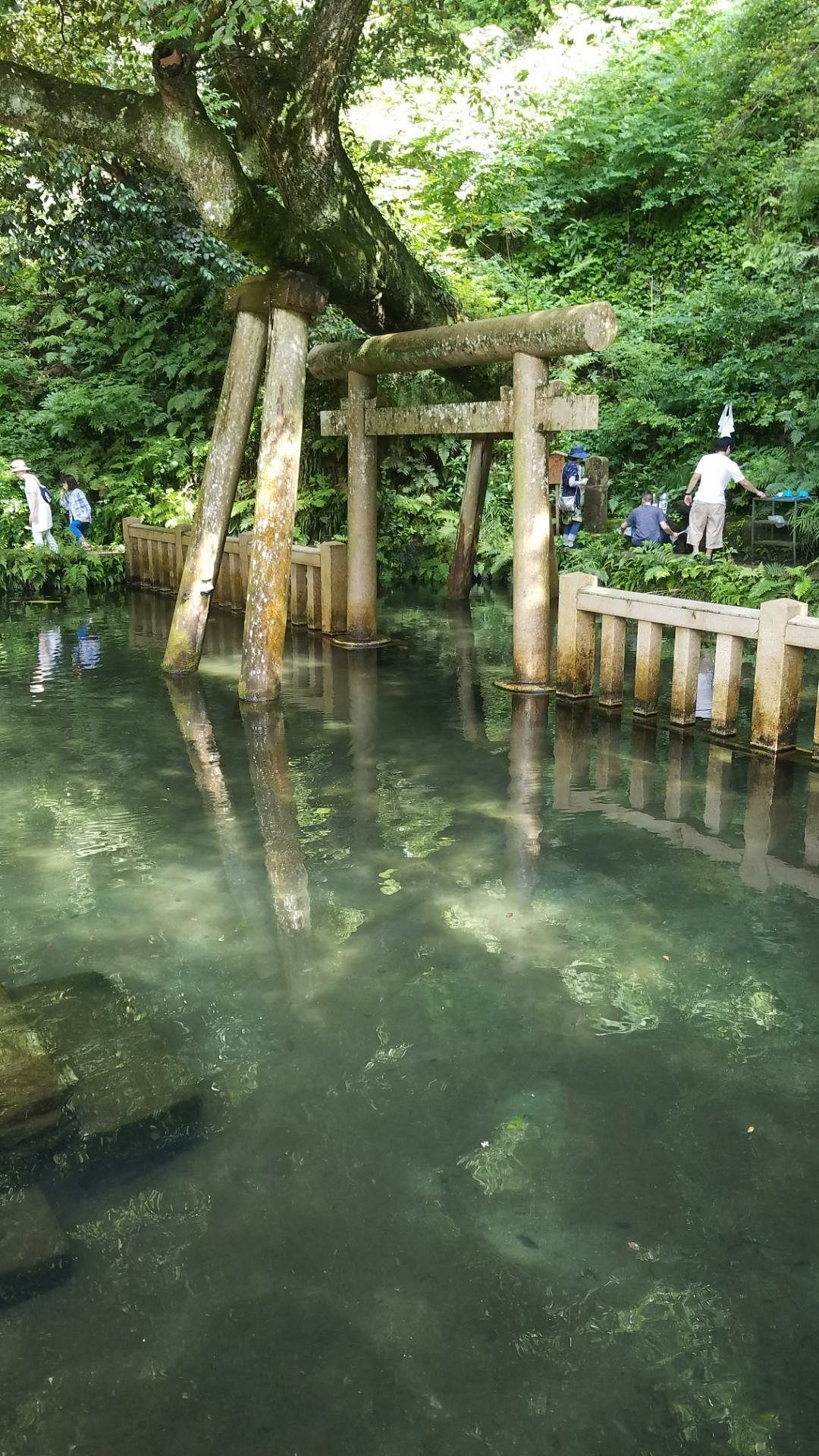 💧 미타라시 연못 (미타라시이케) 이미지 4